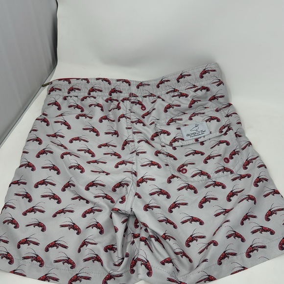 New properly tied boys swim trunks - Crawfish Season Youth Large YL
Ships fast - Picture 2 of 9